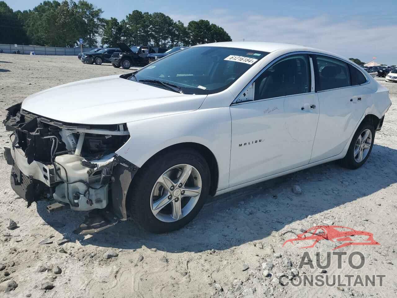 CHEVROLET MALIBU 2019 - 1G1ZB5ST8KF184165