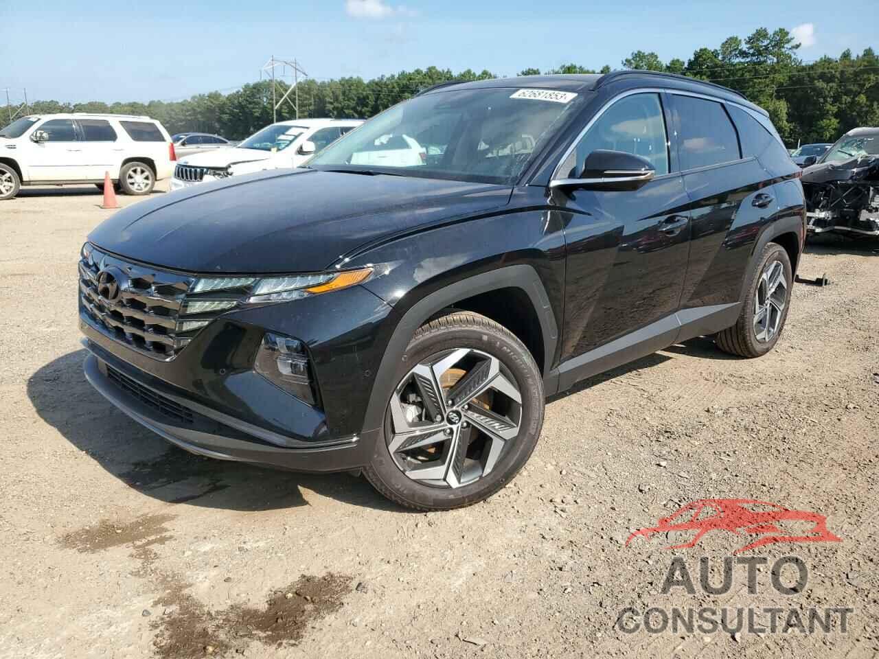 HYUNDAI TUCSON 2023 - 5NMJECAEXPH259607