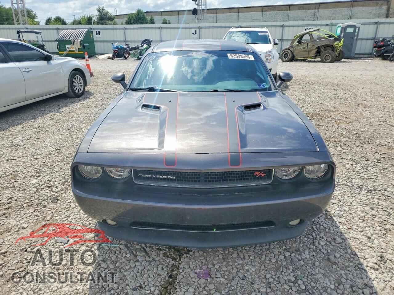 DODGE CHALLENGER 2014 - 2C3CDYBT0EH306596