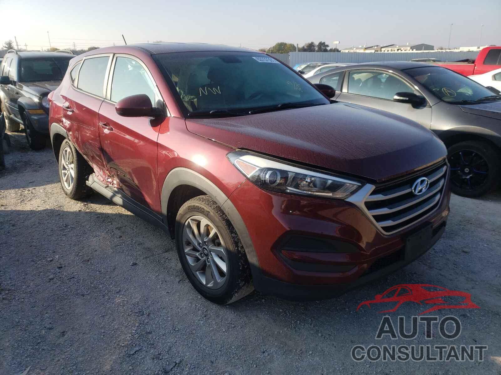 HYUNDAI TUCSON 2017 - KM8J23A45HU443276