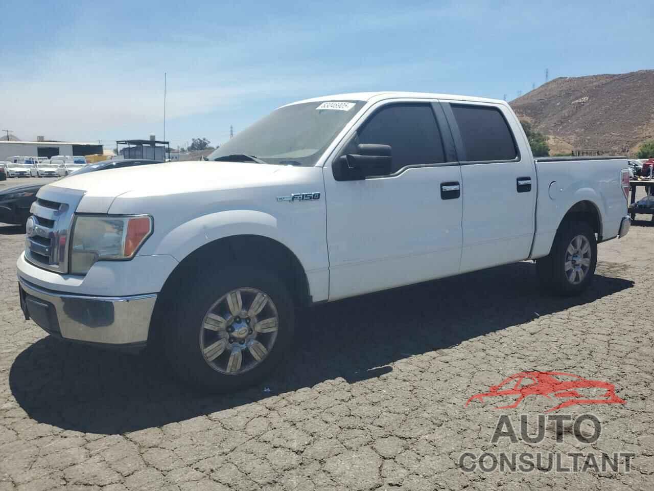 FORD F-150 2009 - 1FTRW12899FA38142
