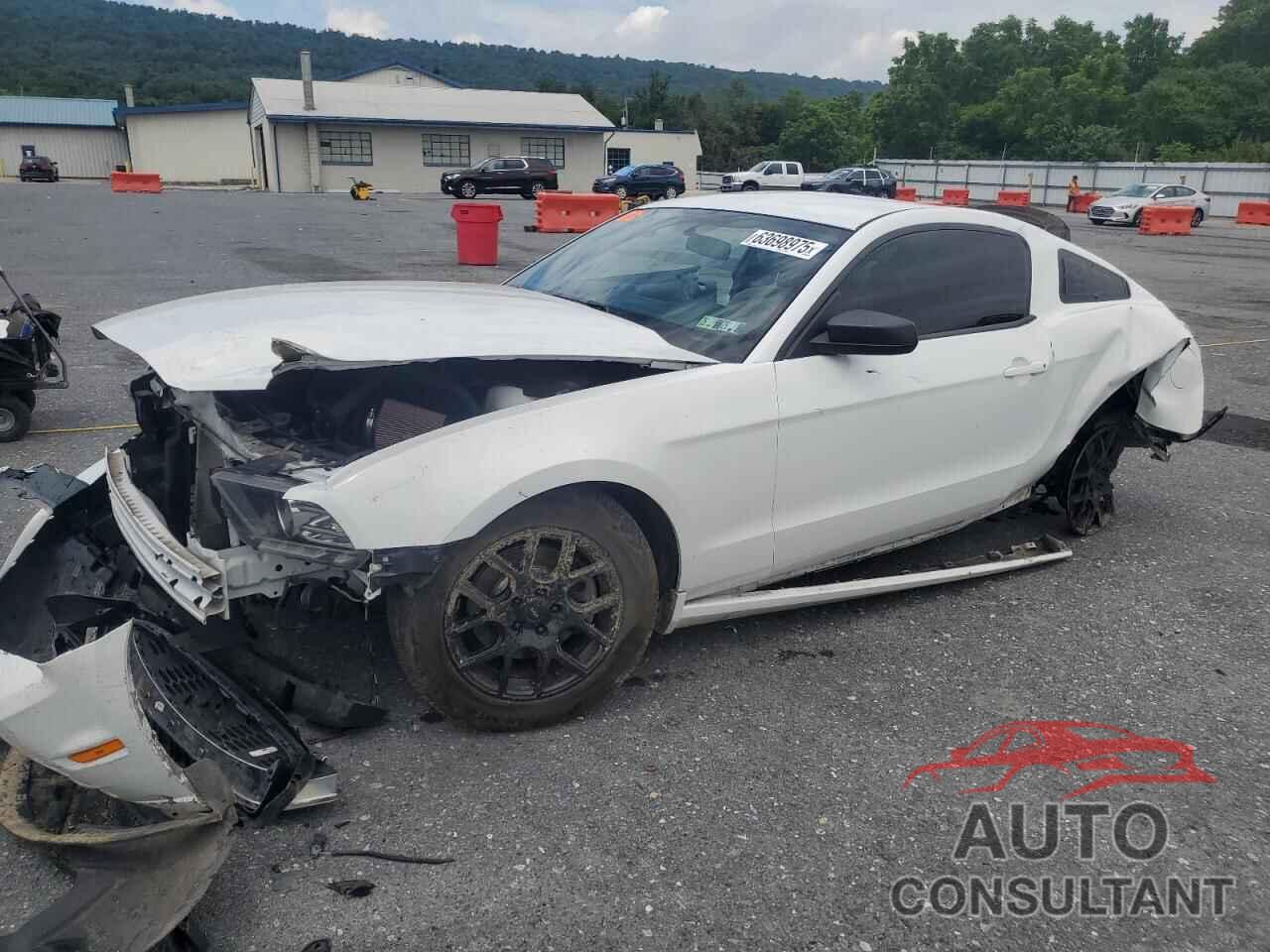 FORD ALL Models 2014 - 1ZVBP8AM1E5314557