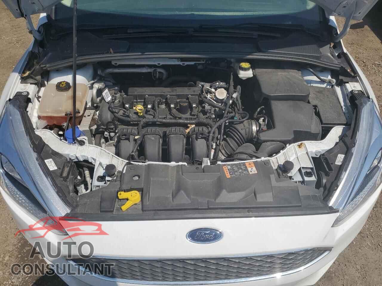 FORD FOCUS 2017 - 1FADP3F29HL262767
