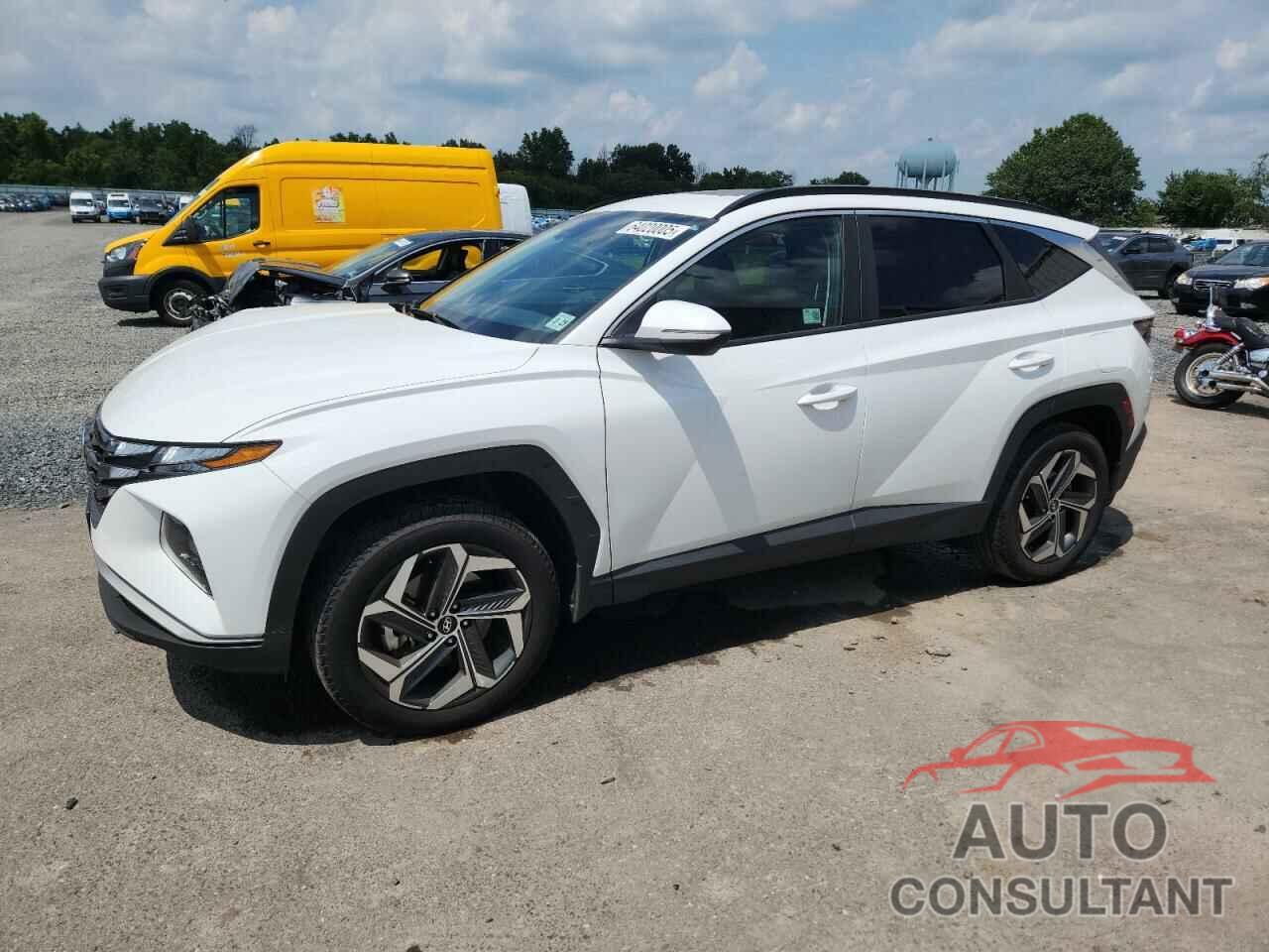 HYUNDAI TUCSON 2024 - 5NMJFCDE7RH381613
