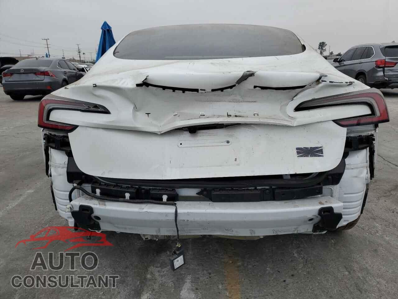 TESLA MODEL 3 2024 - 5YJ3E1ET7RF806603