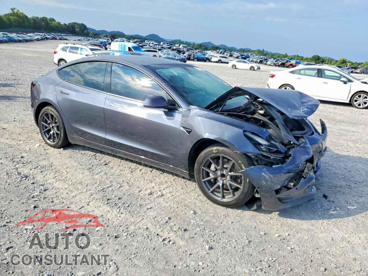 TESLA MODEL 3 2022 - 5YJ3E1EA7NF318471