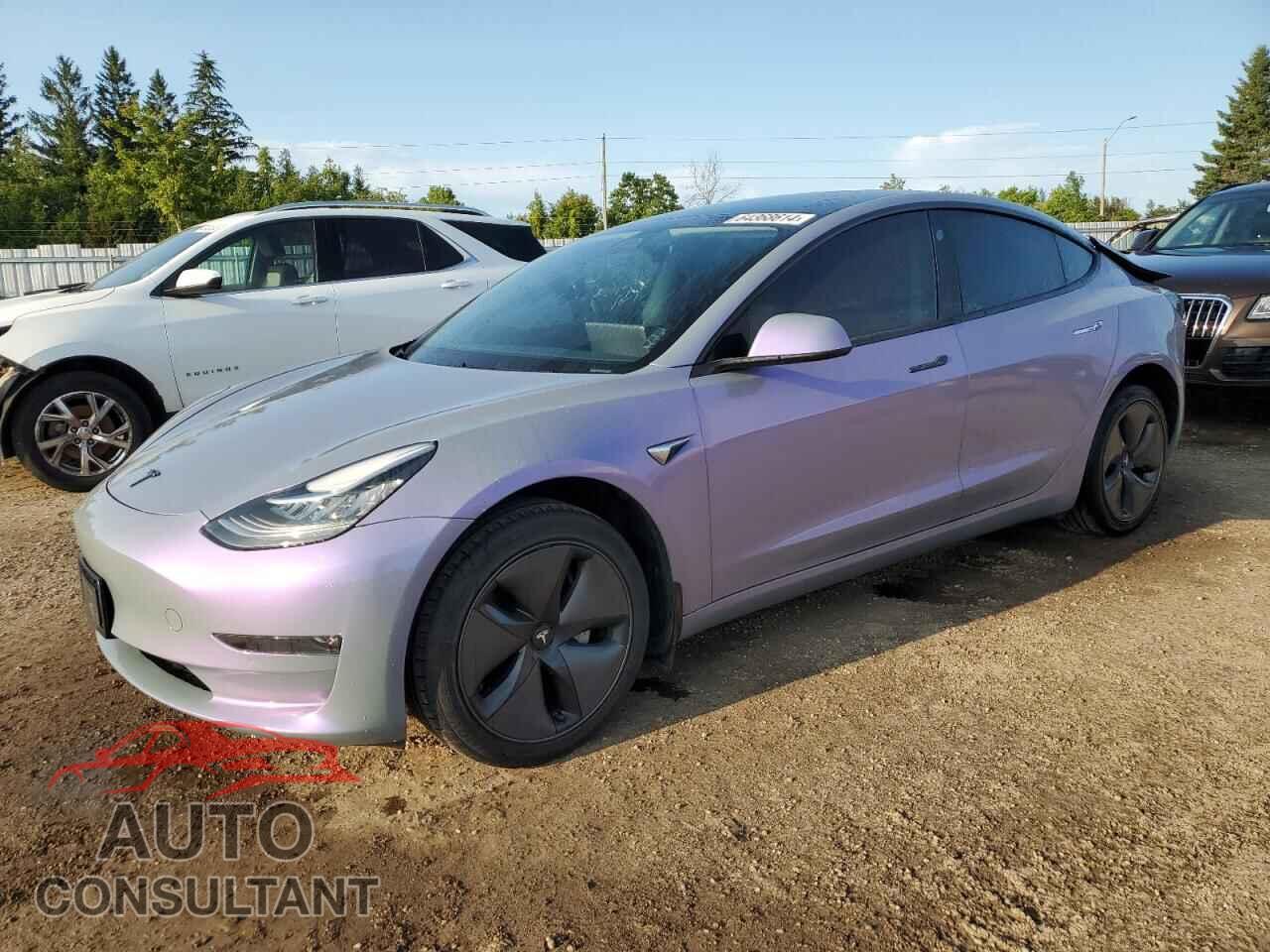 TESLA MODEL 3 2019 - 5YJ3E1EA4KF419995
