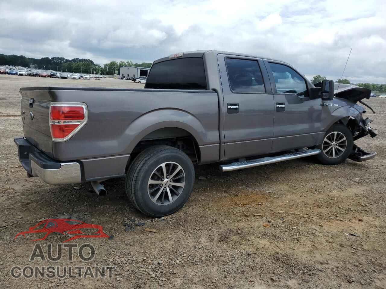 FORD F-150 2010 - 1FTEW1C83AKE34334