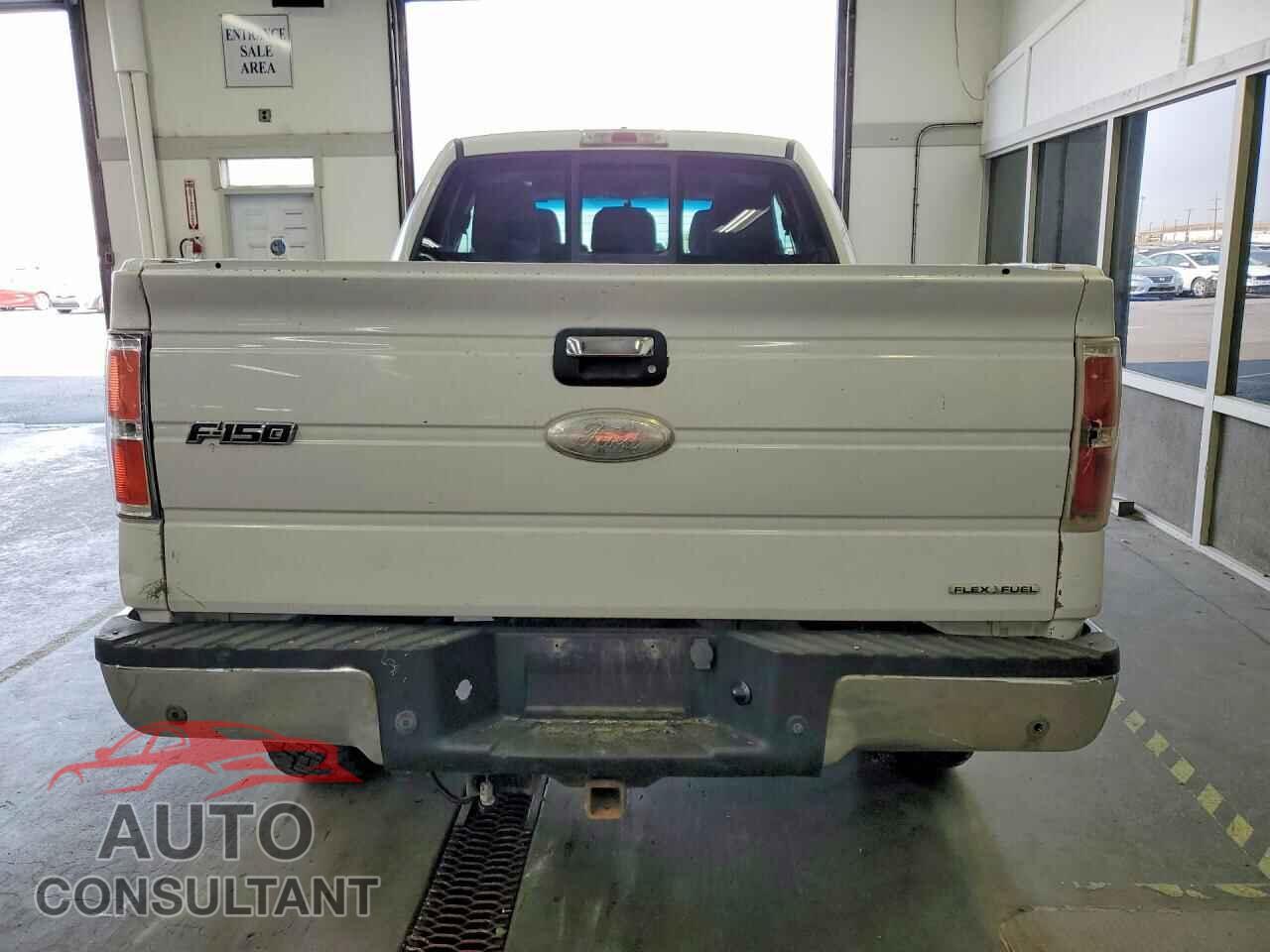 FORD F150 2011 - 1FTFX1EF3BFB58230