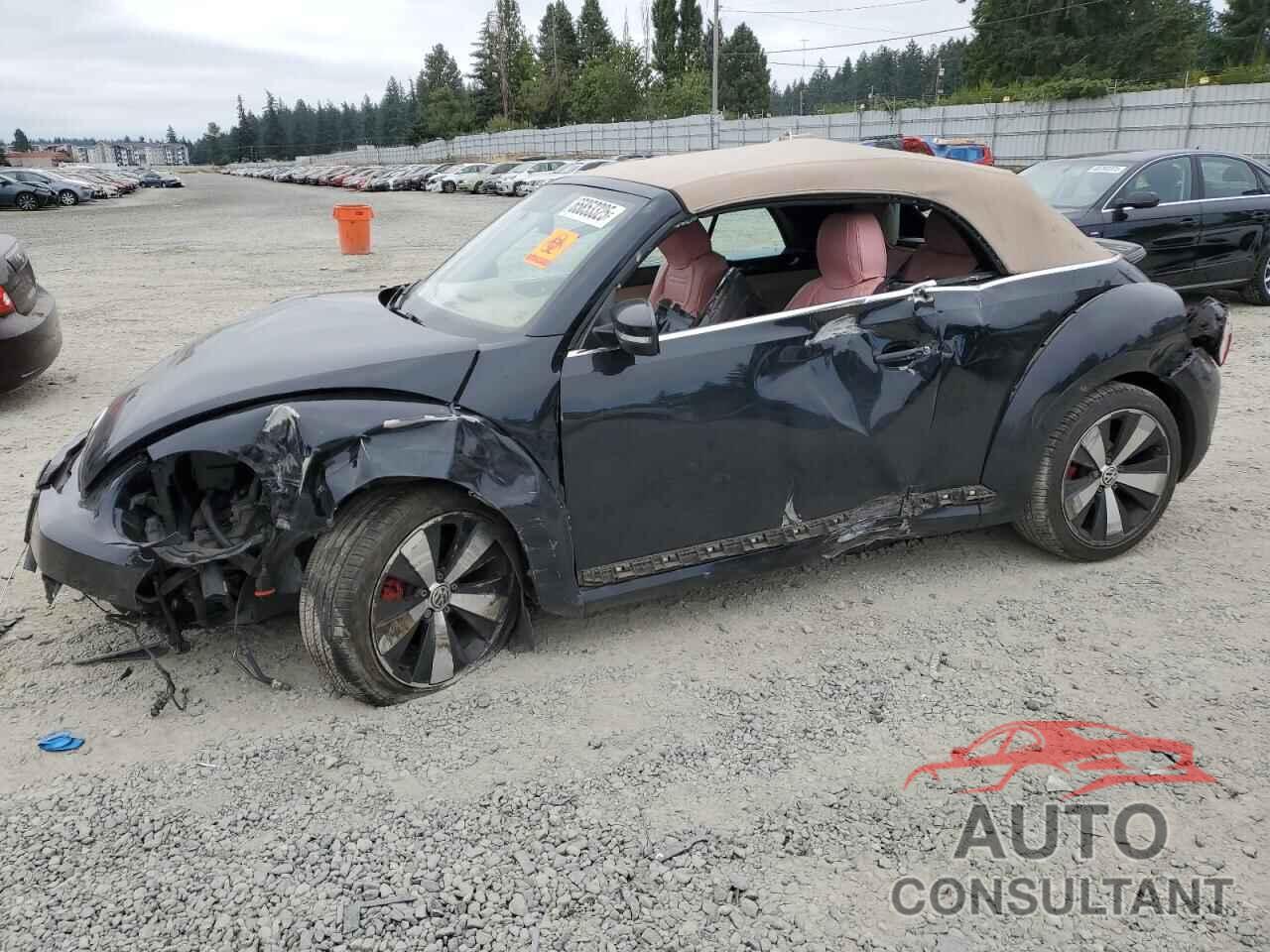 VOLKSWAGEN BEETLE 2013 - 3VW7A7AT2DM811554