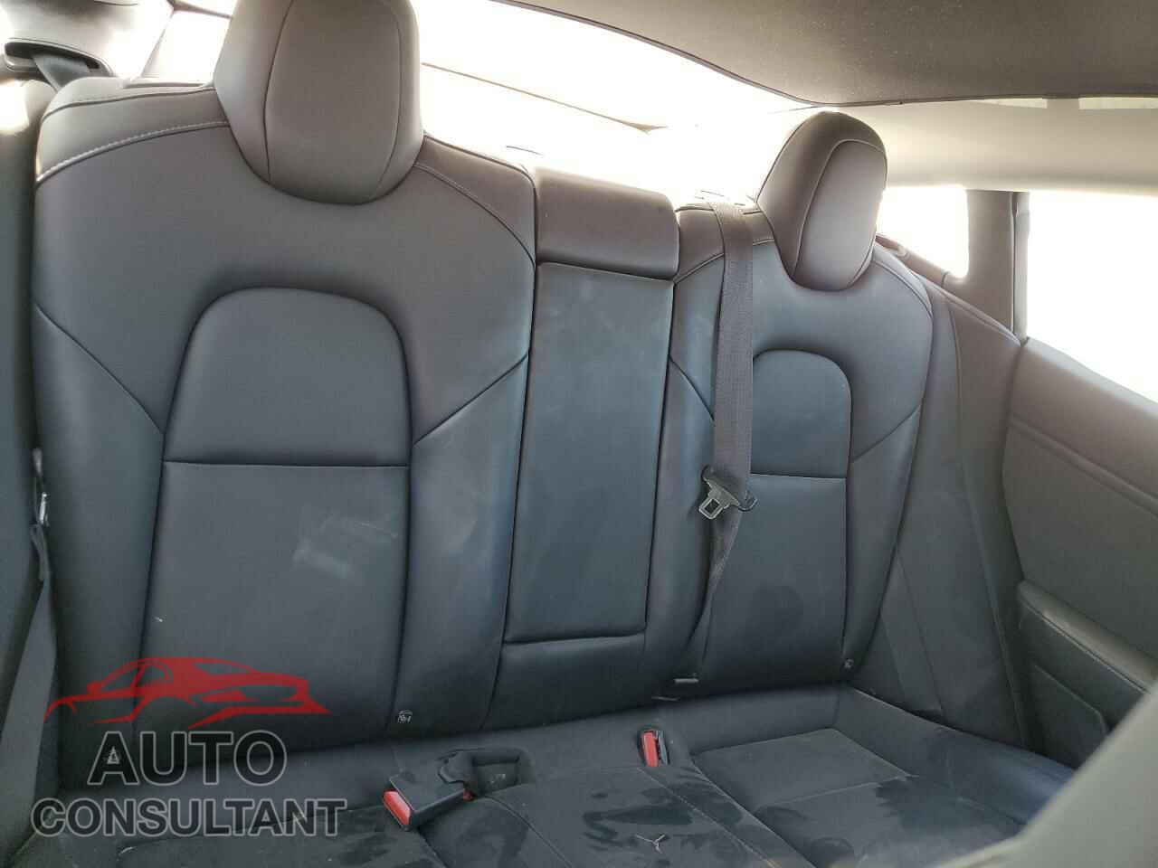 TESLA MODEL 3 2019 - 5YJ3E1EA5KF310106