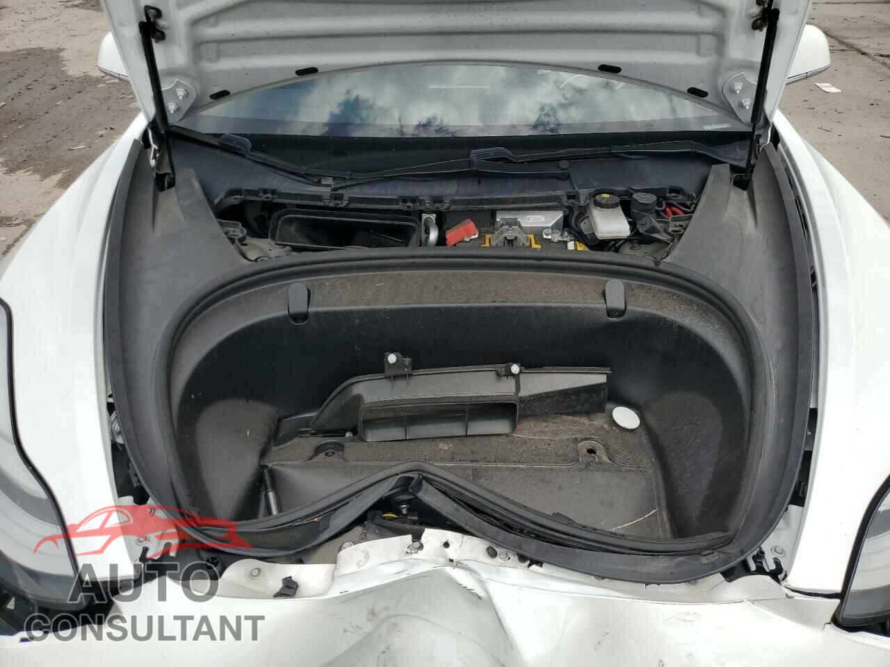 TESLA MODEL 3 2019 - 5YJ3E1EA6KF401563