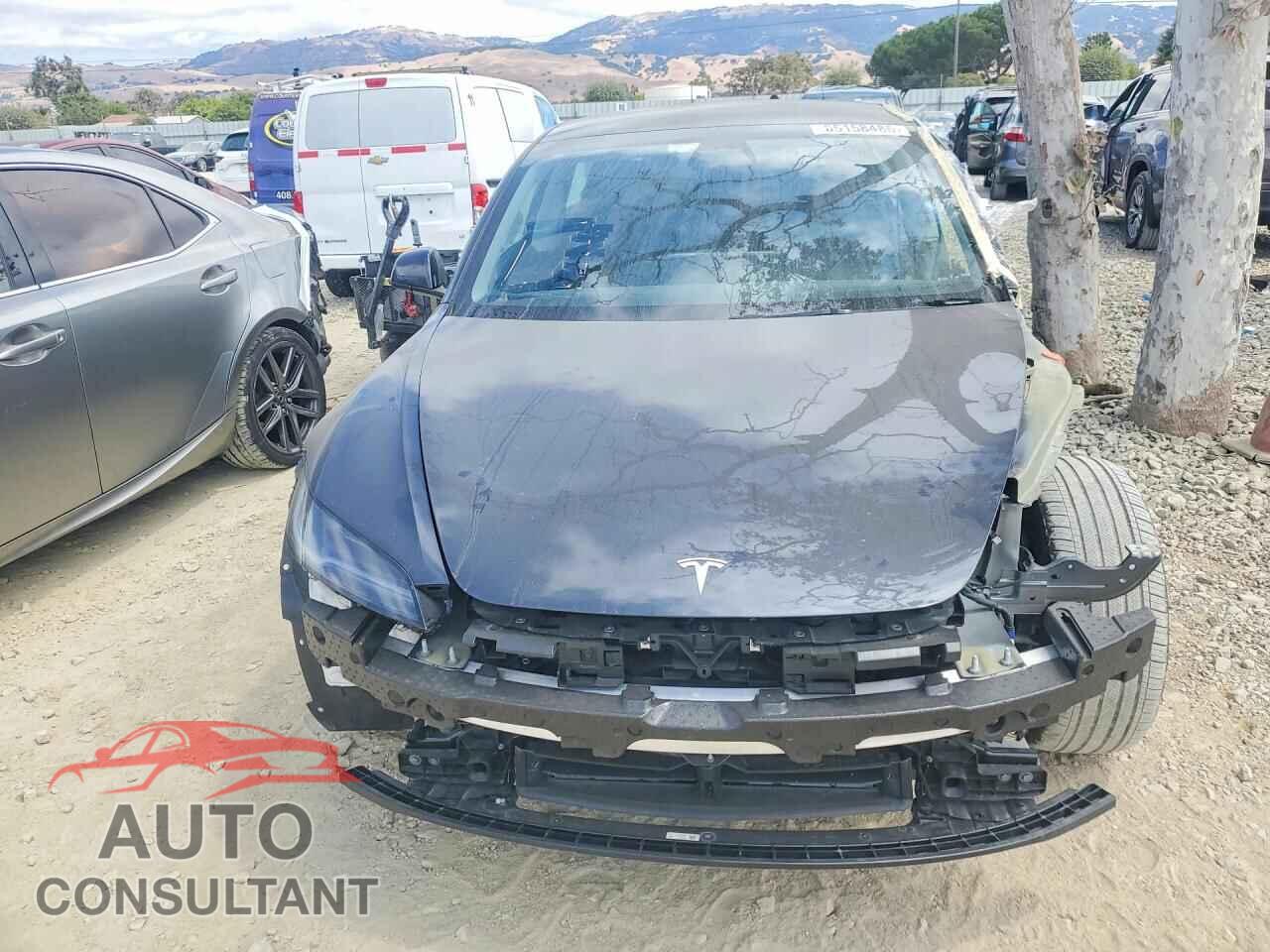 TESLA MODEL 3 2025 - 5YJ3E1EA5SF953555