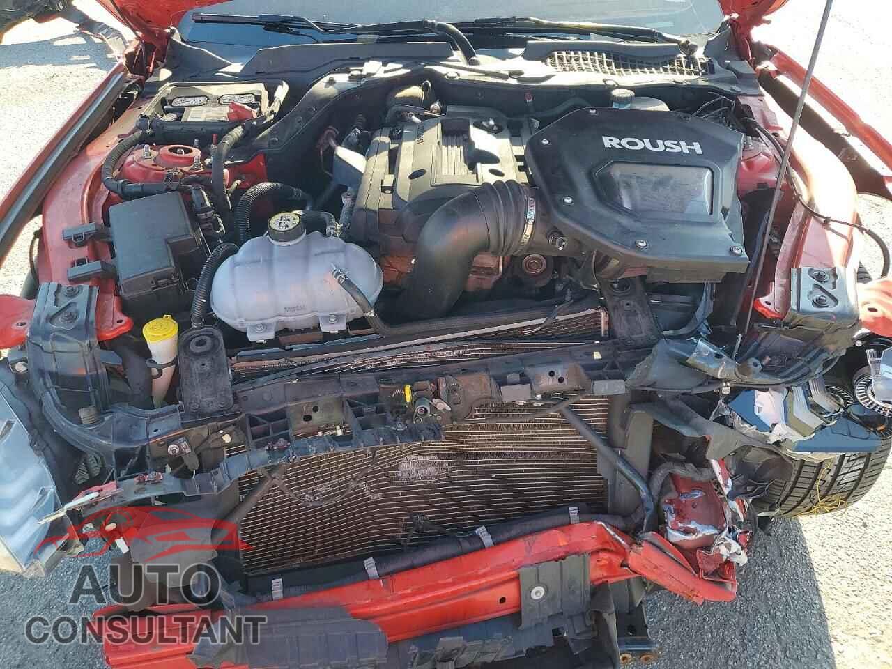 FORD MUSTANG 2019 - 1FA6P8TH5K5194218