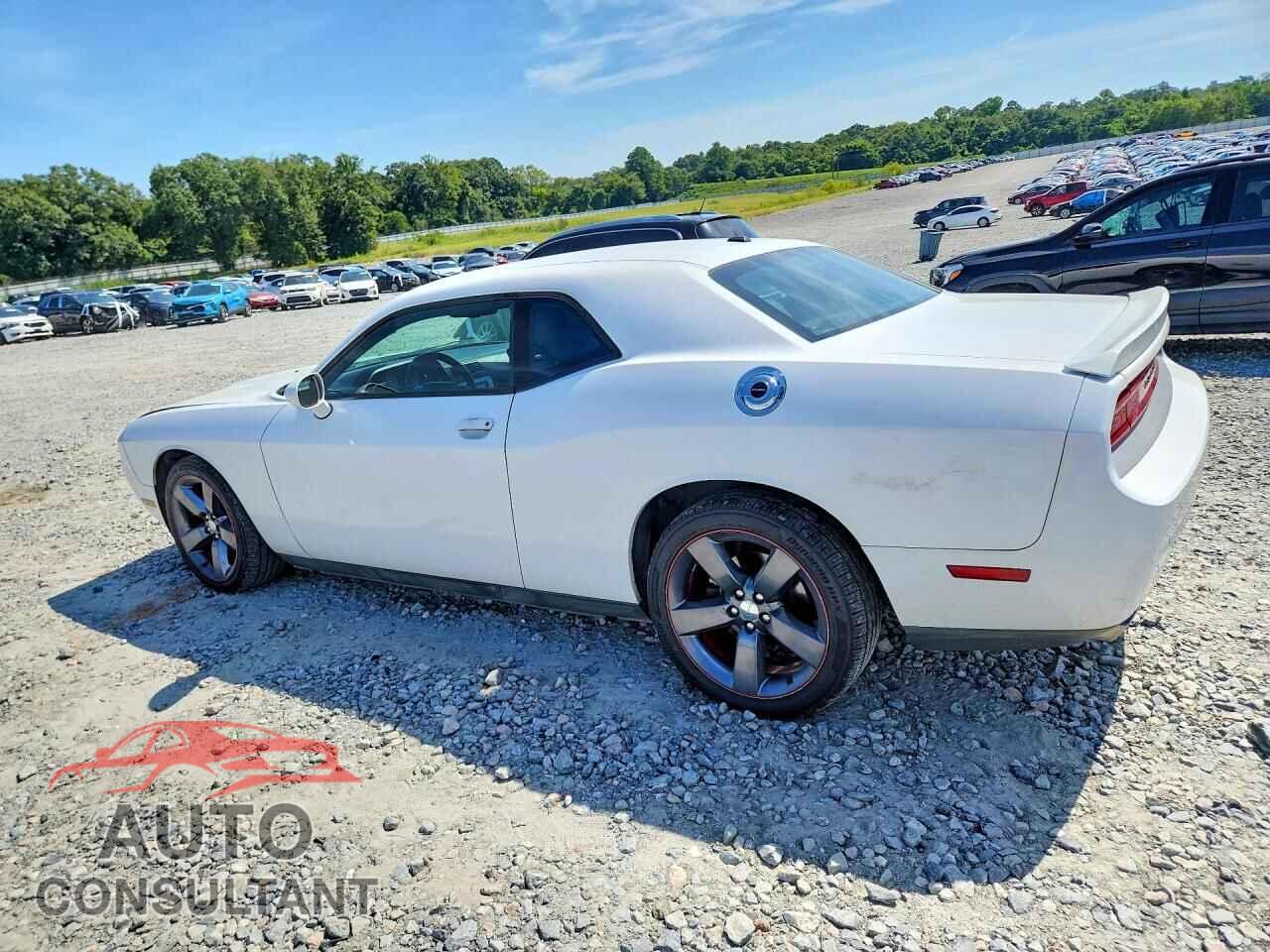 DODGE CHALLENGER 2013 - 2C3CDYAG4DH695178