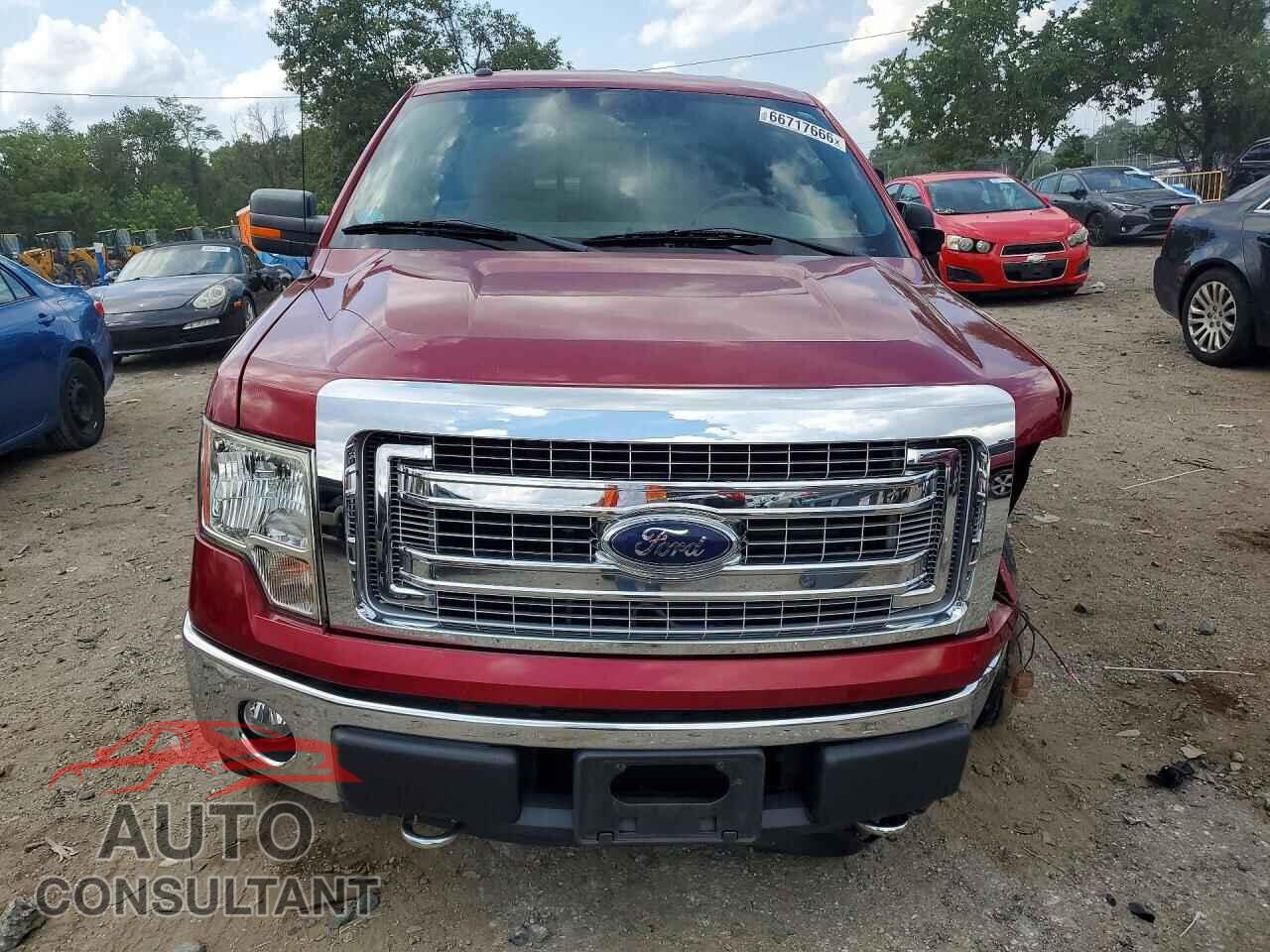 FORD F150 2013 - 1FTFX1EF0DFD95731