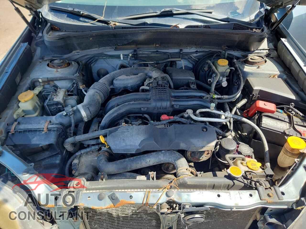 SUBARU FORESTER 2013 - JF2SHABC1DH424052