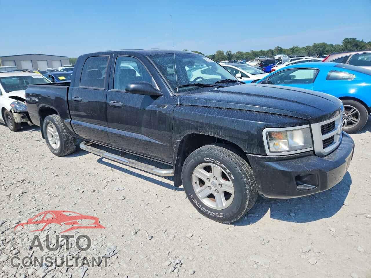 DODGE DAKOTA 2011 - 1D7RW3GK6BS614367