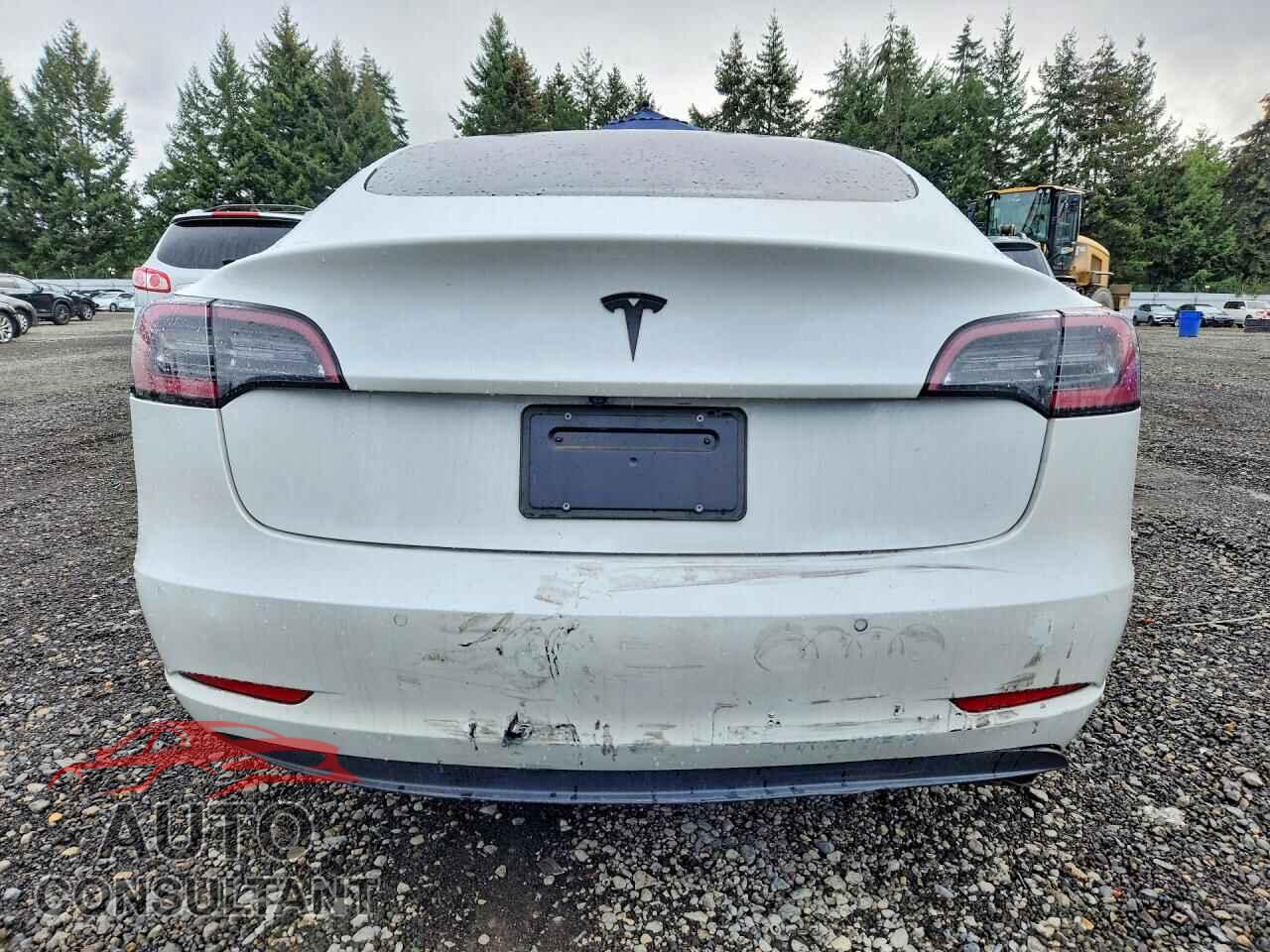 TESLA MODEL 3 2021 - 5YJ3E1EA2MF100971