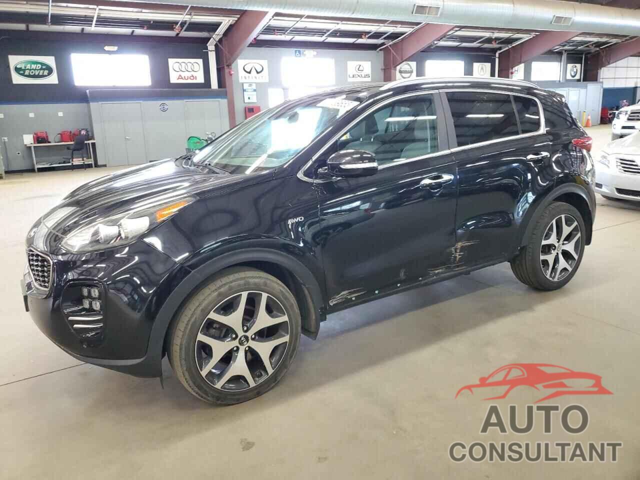 KIA SPORTAGE 2017 - KNDPRCA65H7171175