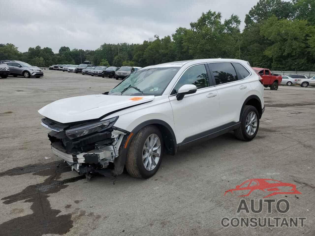 HONDA CRV 2025 - 2HKRS4H75SH441378