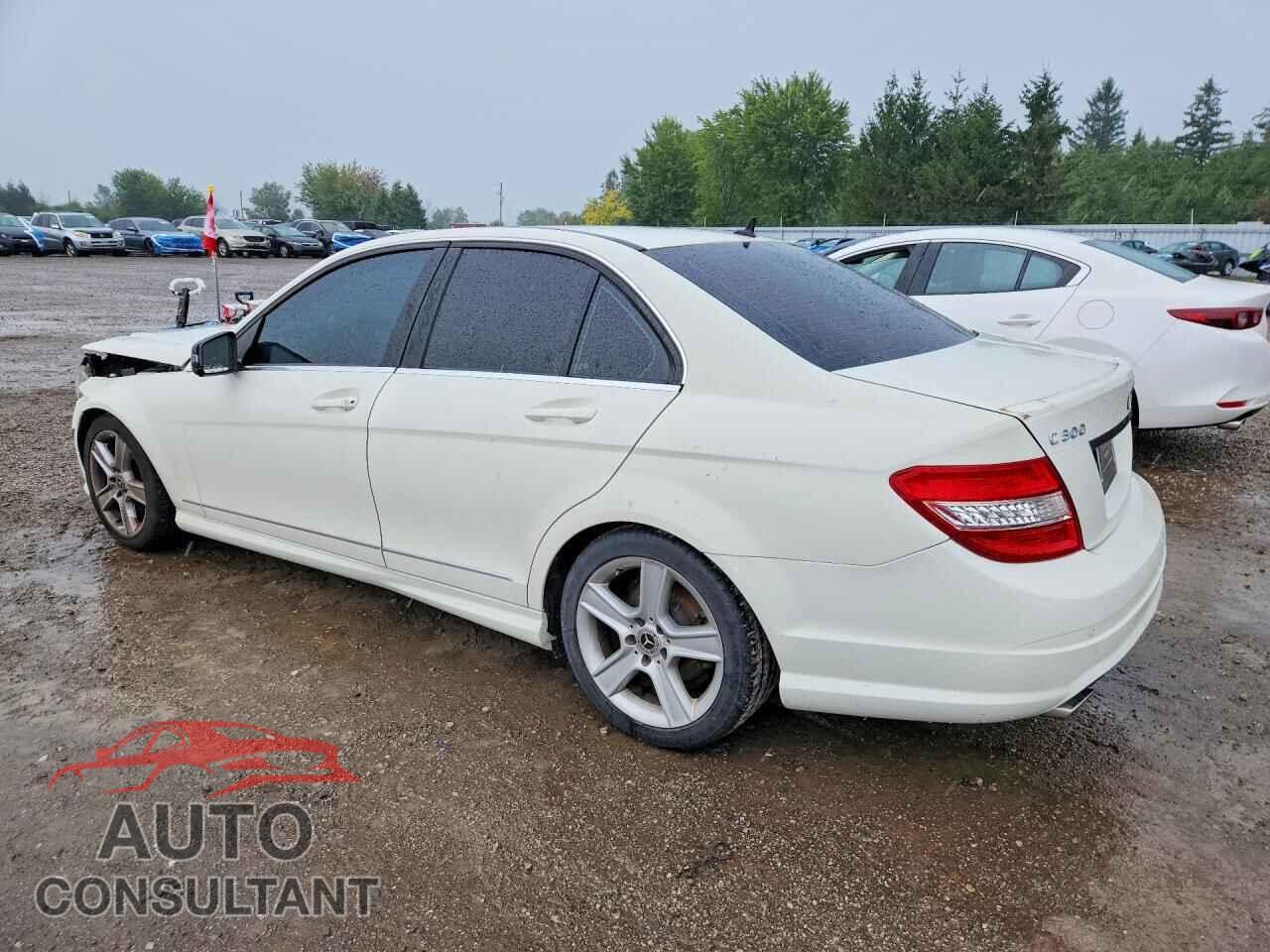 MERCEDES-BENZ C-CLASS 2010 - WDDGF8BB8AF416232