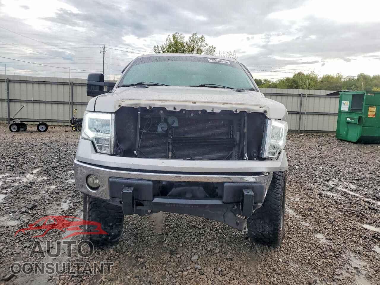FORD F150 2009 - 1FTPW14V59FB10867