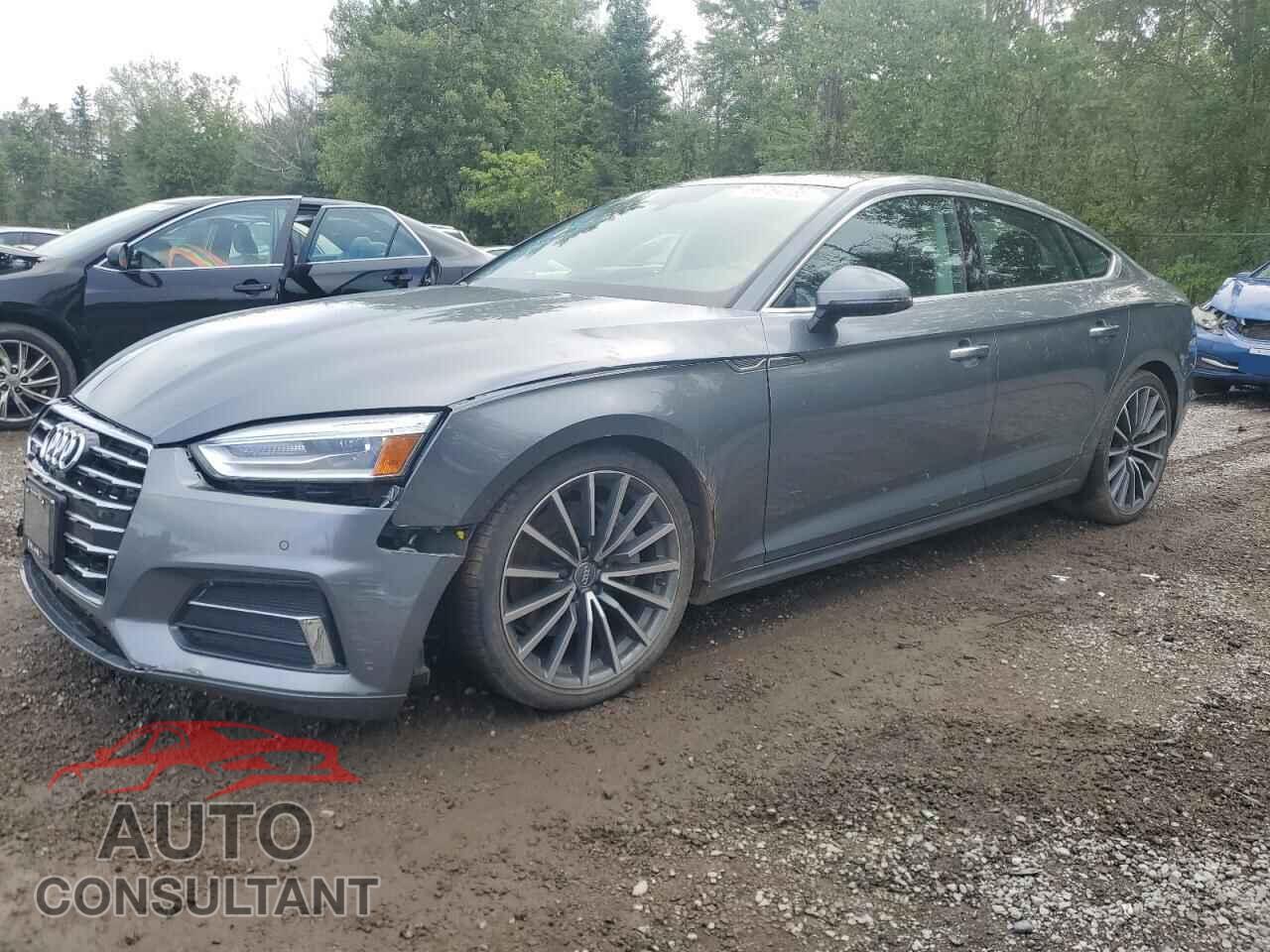 AUDI A5 2019 - WAUBNCF58KA009232