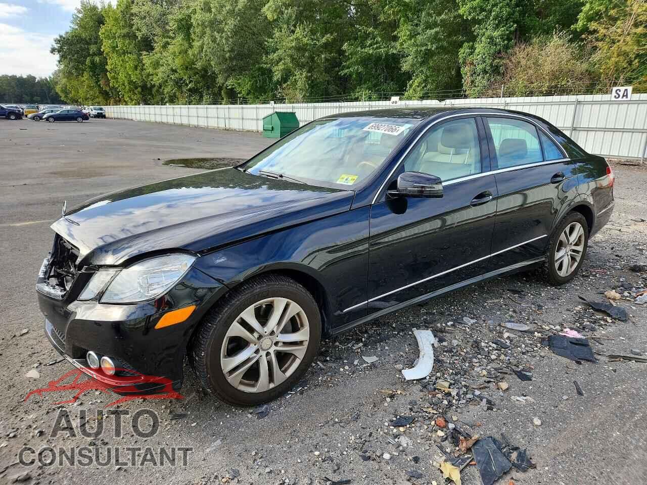 MERCEDES-BENZ E-CLASS 2010 - WDDHF8HB1AA165515