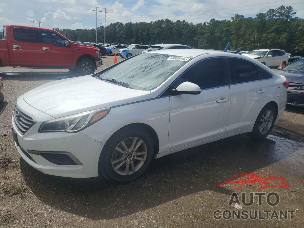HYUNDAI SONATA 2017 - 5NPE24AF8HH552242