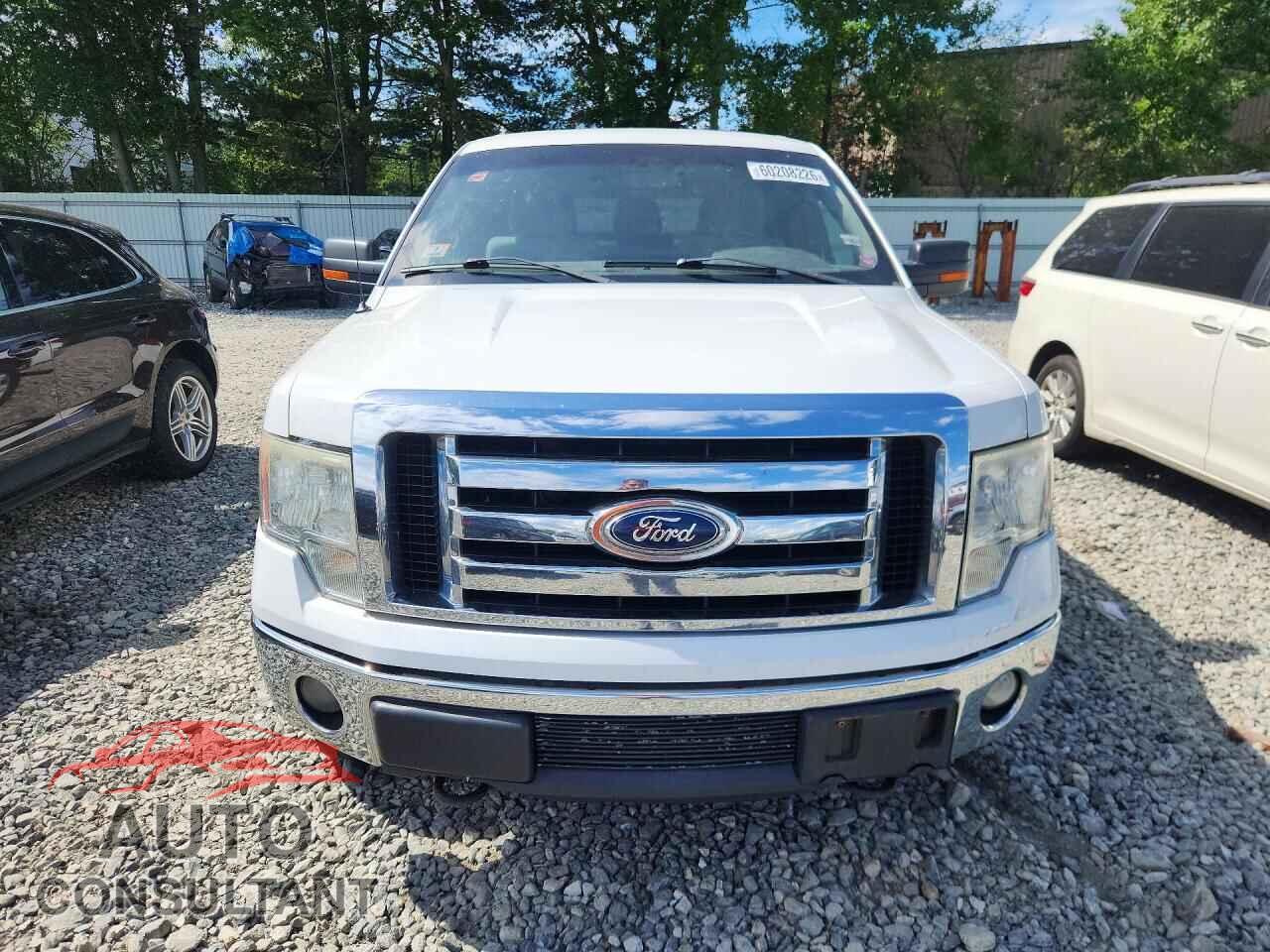 FORD F150 2011 - 1FTFX1ET5BFC28137
