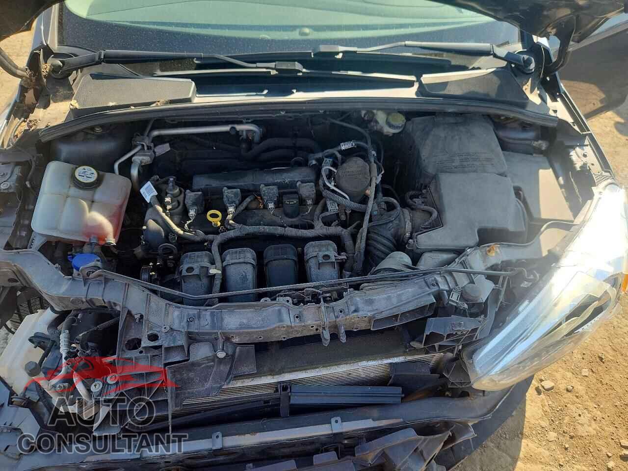 FORD FOCUS 2016 - 1FADP3F22GL309796