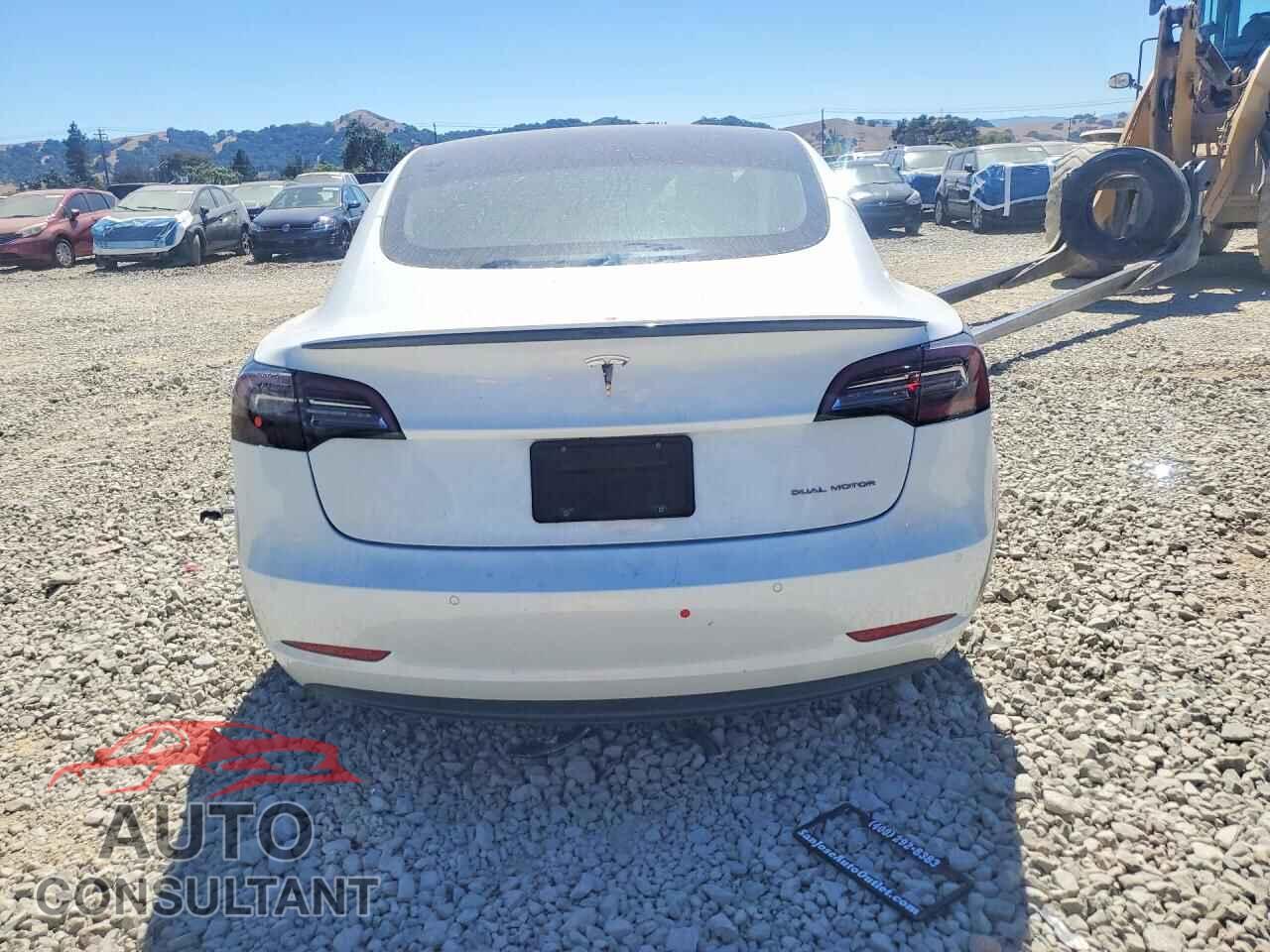 TESLA MODEL 3 2020 - 5YJ3E1EA5LF613937