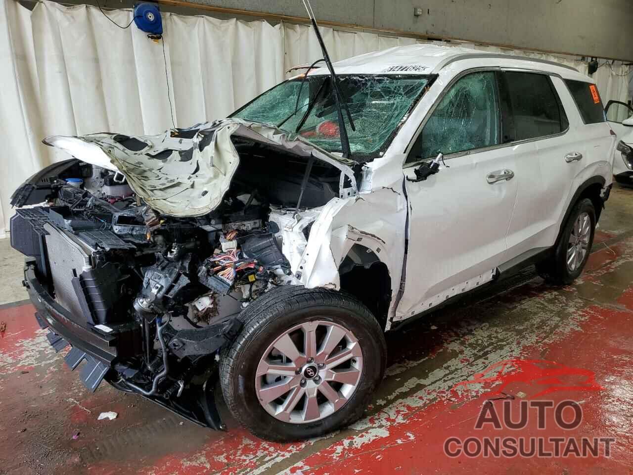 HYUNDAI PALISADE 2025 - KM8R2DGE3SU894514