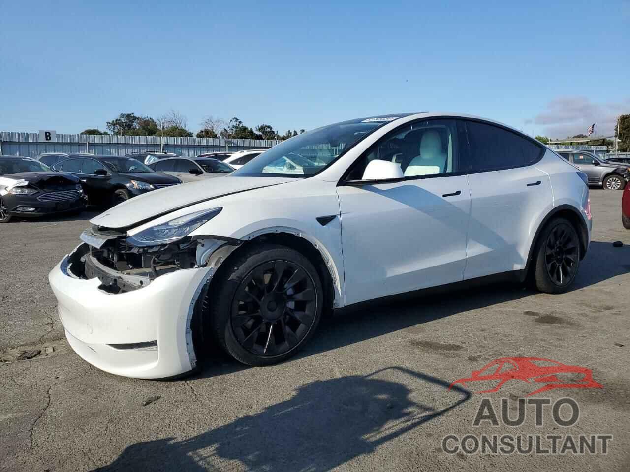 TESLA MODEL Y 2020 - 5YJYGDEE3LF053050