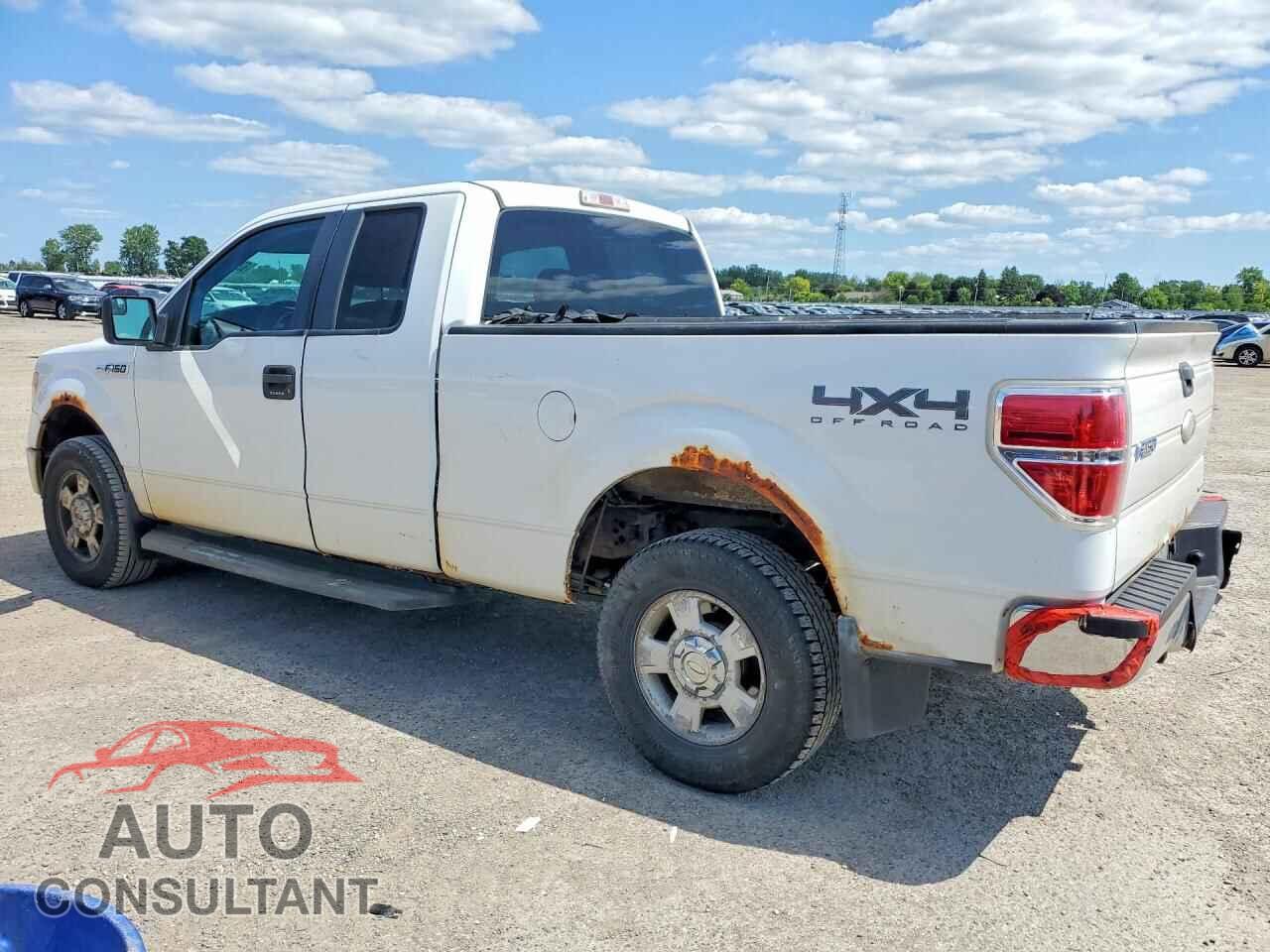 FORD F150 2011 - 1FTFX1EF6BFB78603