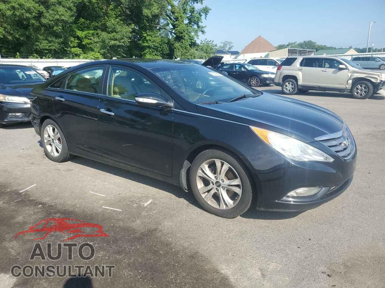 HYUNDAI SONATA 2013 - 5NPEC4AC8DH810949