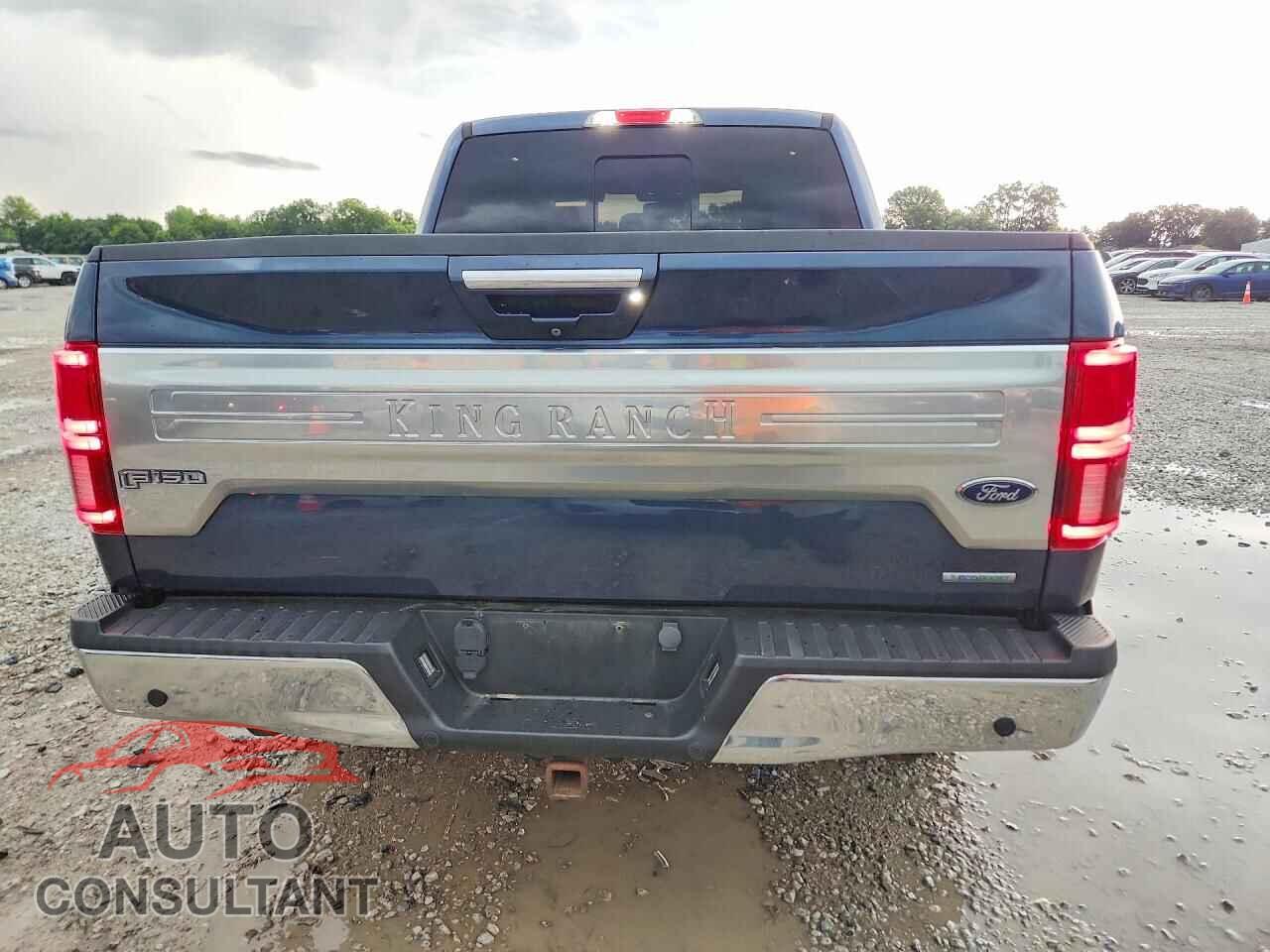 FORD F150 2019 - 1FTEW1E45KFA77355