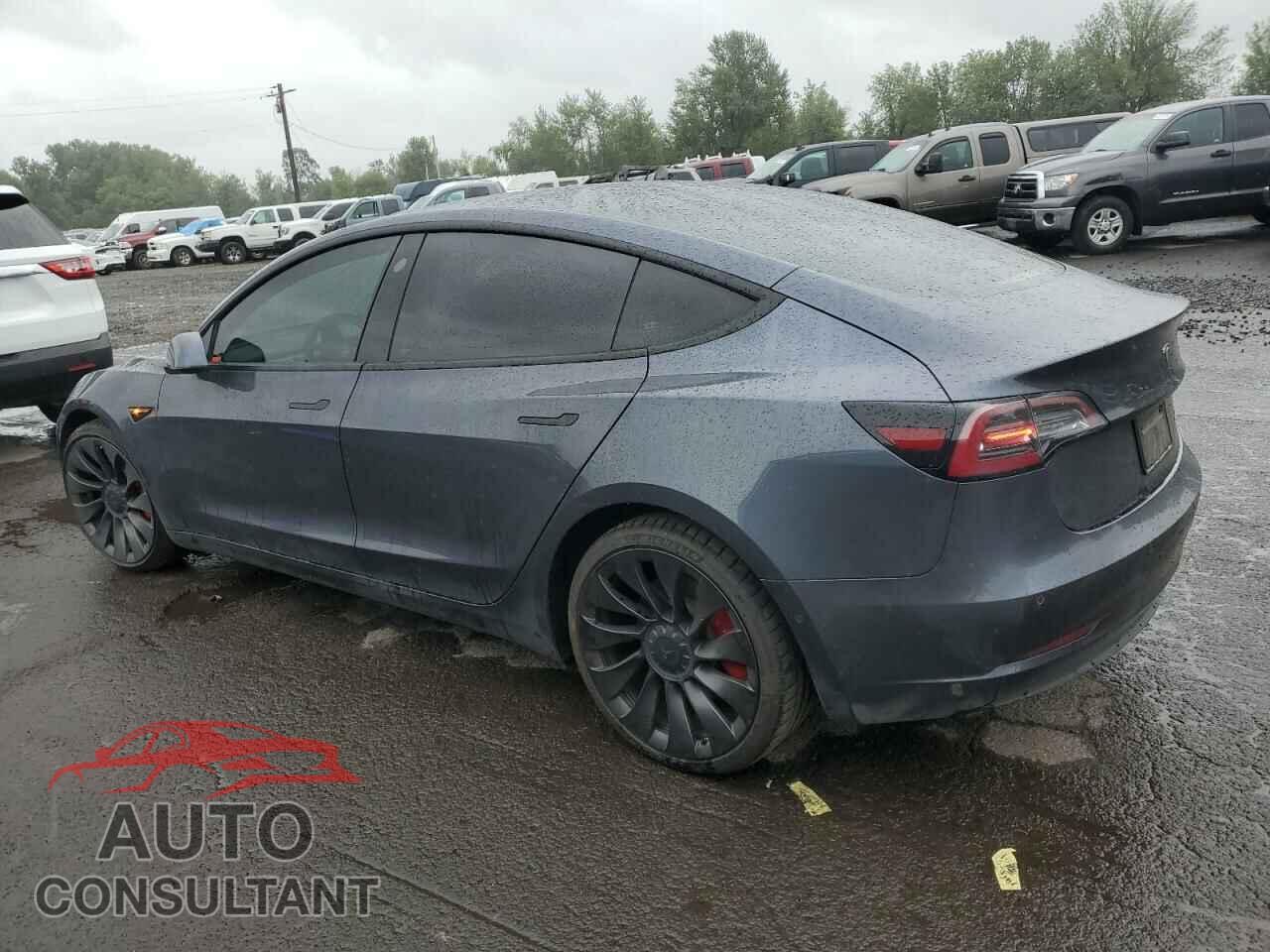TESLA MODEL 3 2021 - 5YJ3E1EC1MF925983