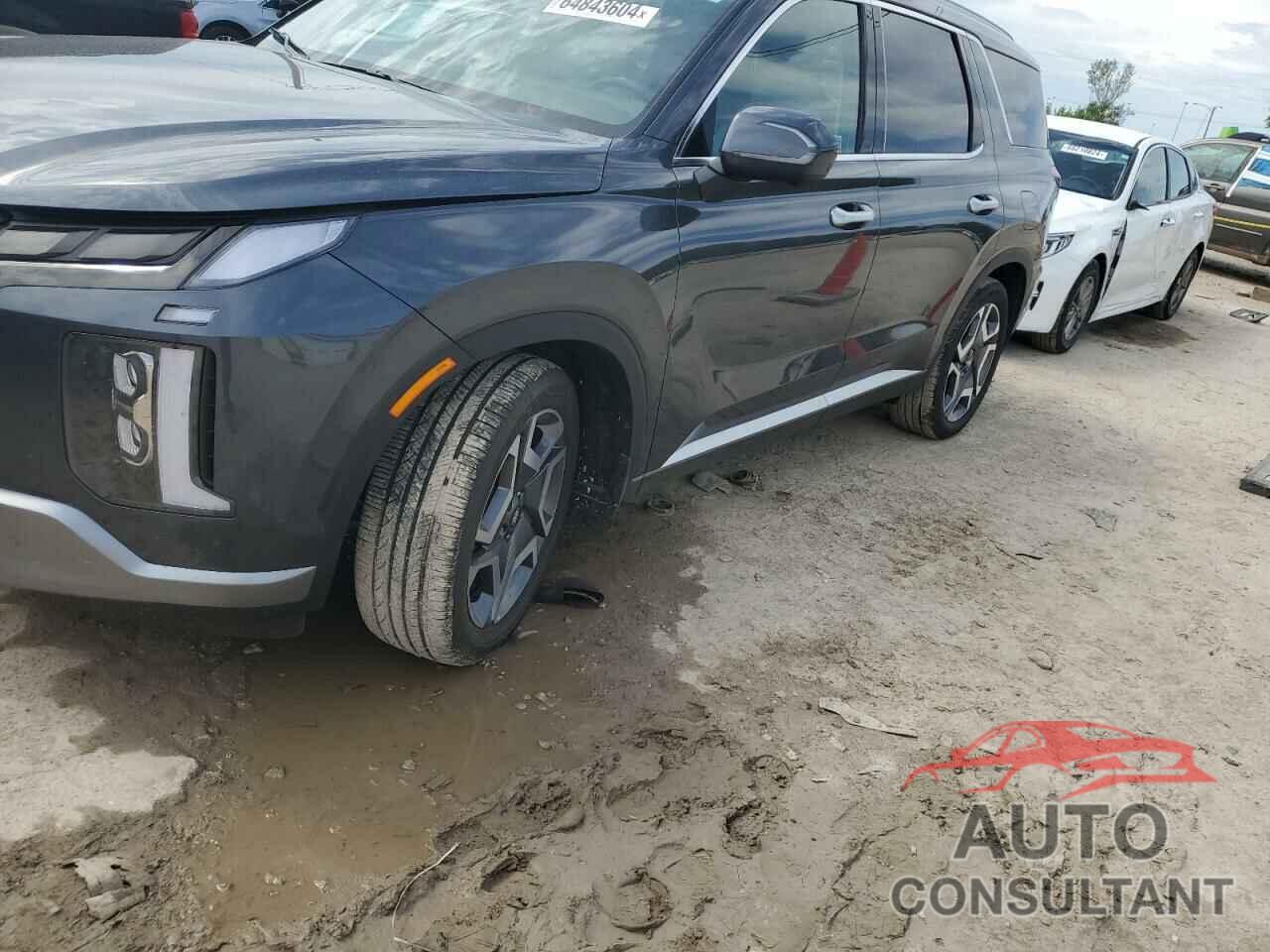 HYUNDAI PALISADE 2024 - KM8R44GE8RU690487