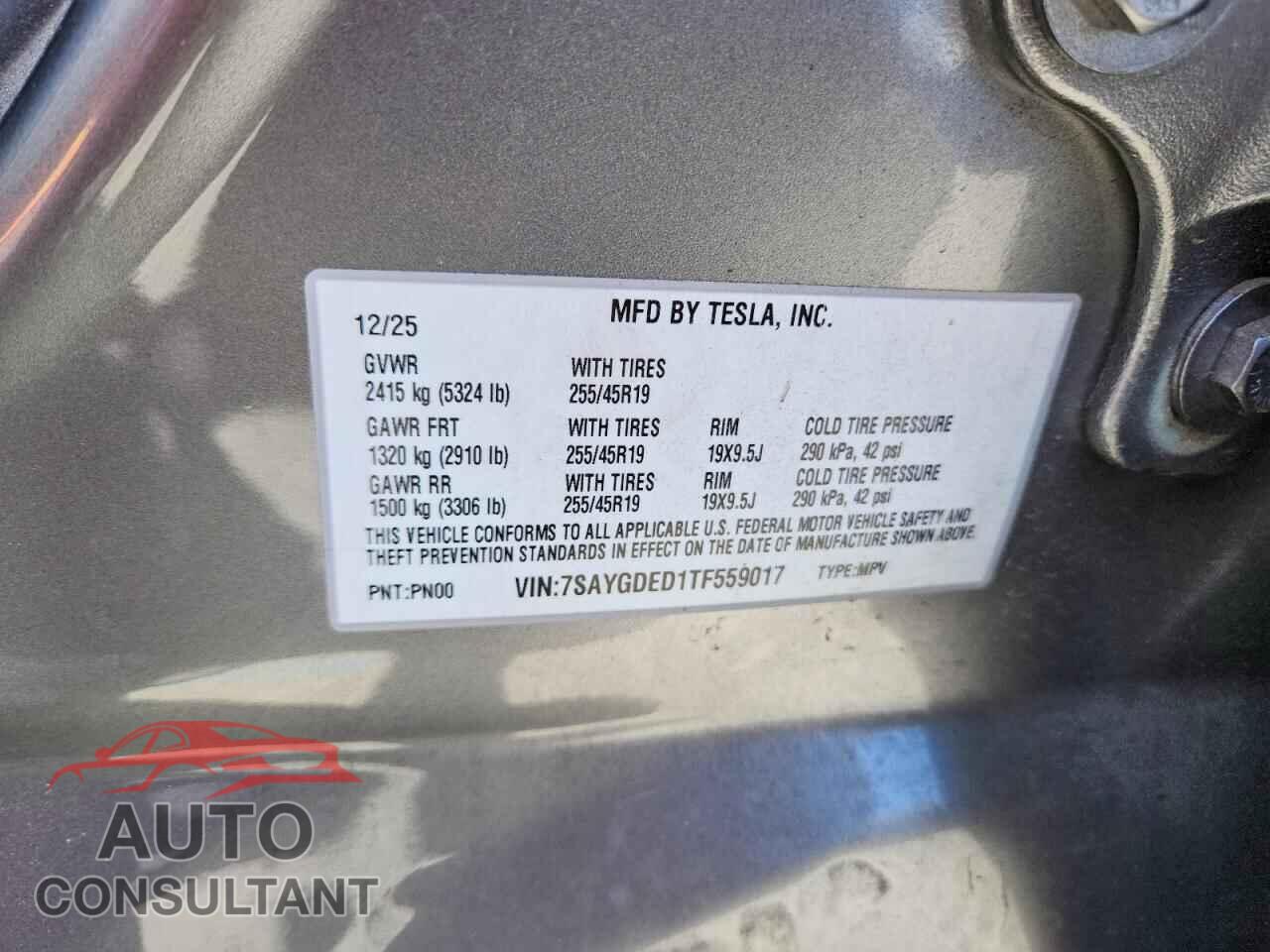 TESLA MODEL Y 2026 - 7SAYGDED1TF559017