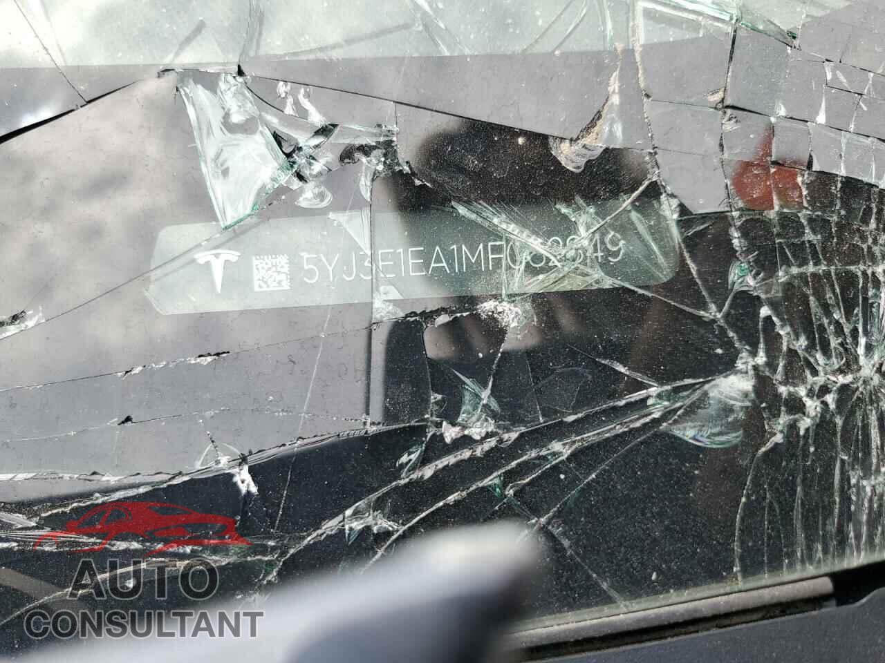 TESLA MODEL 3 2021 - 5YJ3E1EA1MF082849