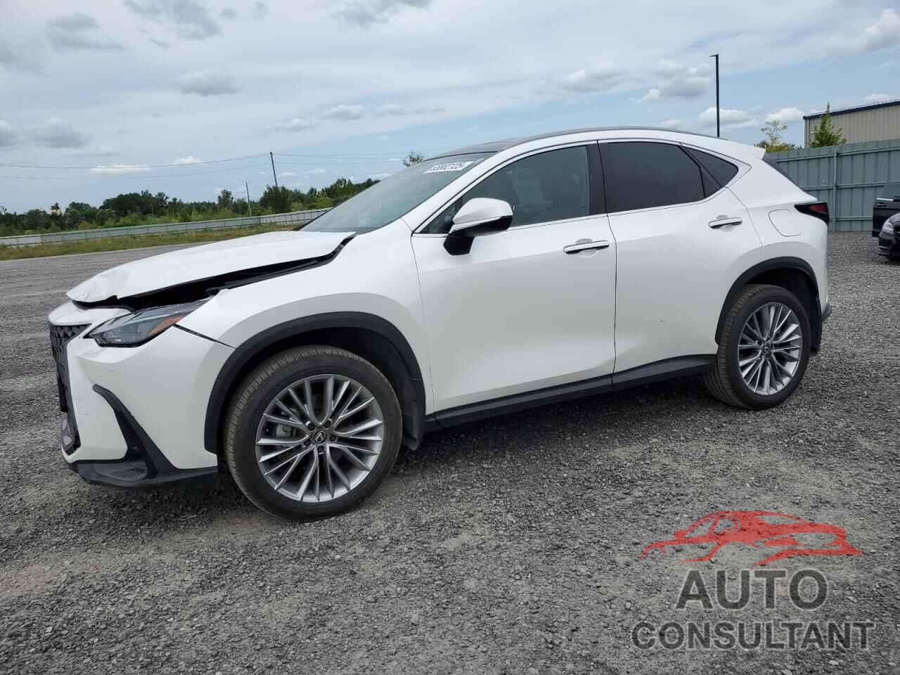LEXUS NX 350H BA 2024 - 2T2GKCEZ6RC030250