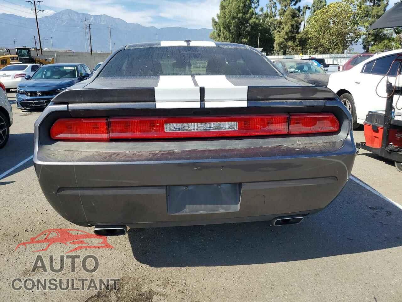 DODGE CHALLENGER 2013 - 2C3CDYAG4DH553669