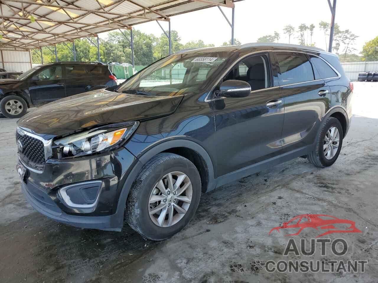 KIA SORENTO 2017 - 5XYPG4A31HG262481