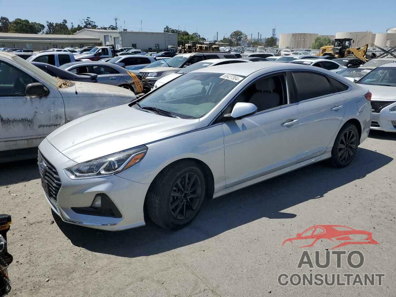 HYUNDAI SONATA 2019 - 5NPE24AF4KH755104