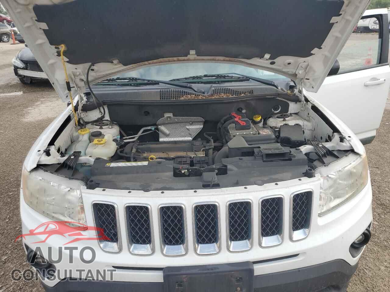 JEEP COMPASS 2011 - 1J4NT1FA5BD290521