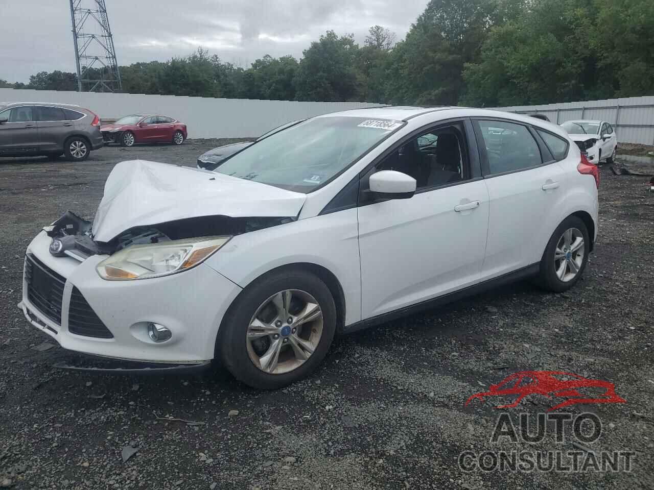 FORD FOCUS 2012 - 1FAHP3K20CL124244