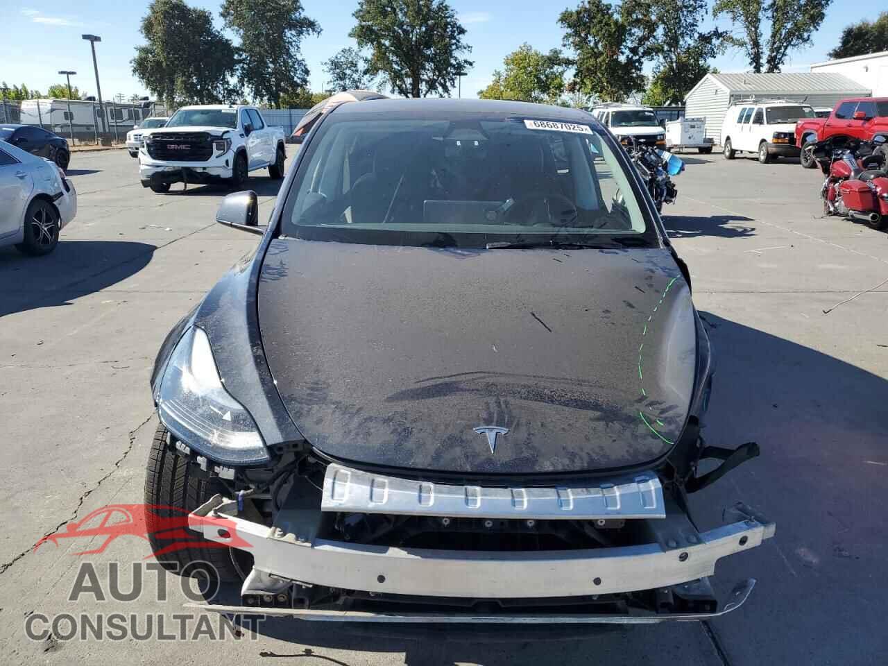 TESLA MODEL Y 2024 - 7SAYGDEE7RF985859