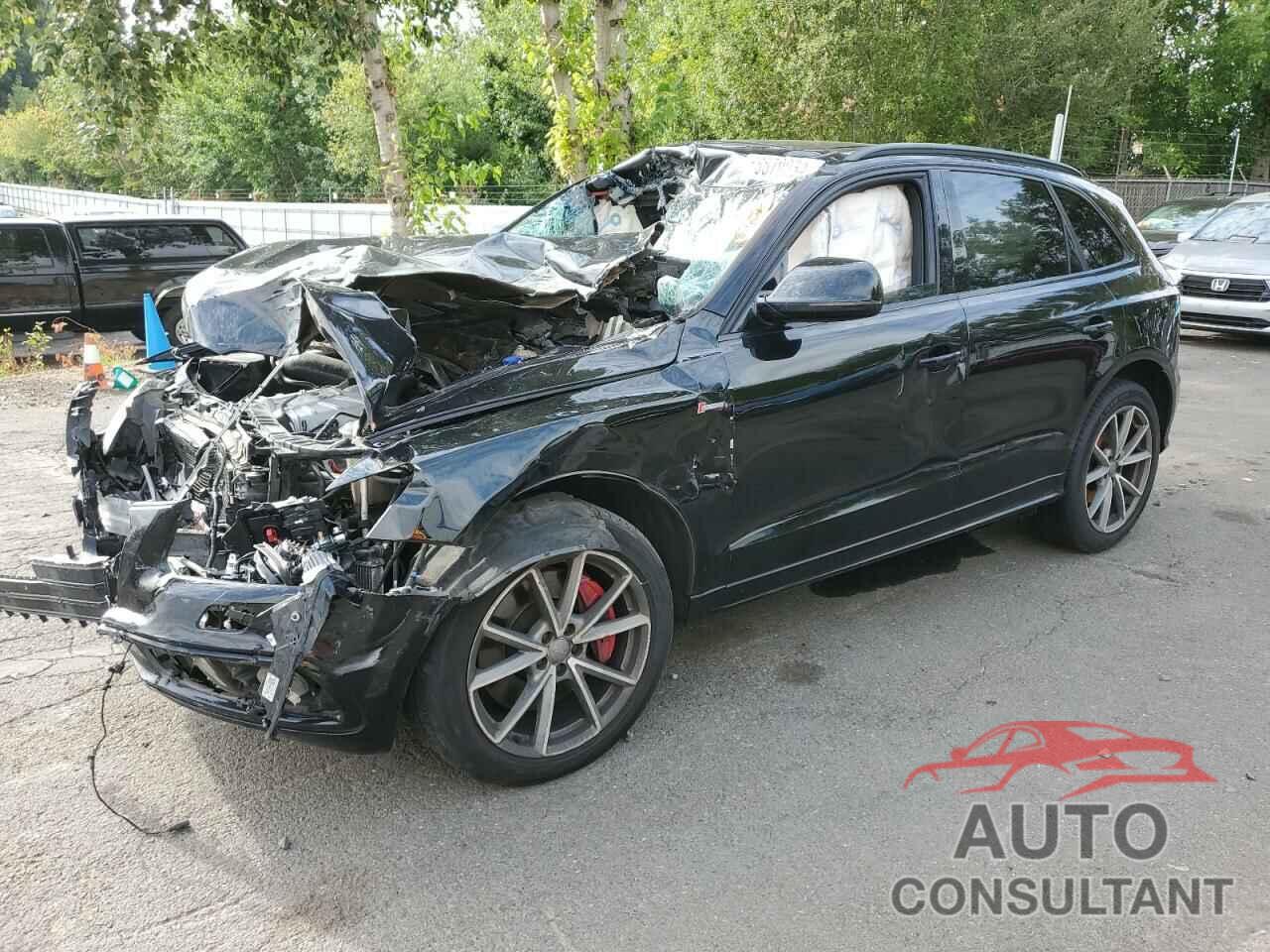 AUDI SQ5 2016 - WA1CCAFPXGA014825